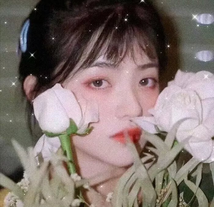 罗斯福